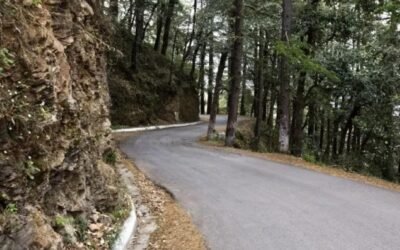 Kingal Road, Shimla – The Lonely Road of Flickering Lights and Wandering Shadows