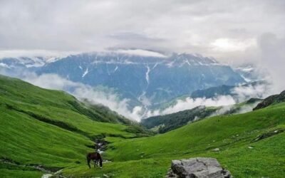 Bhrigu Lake Trek – Meadows in the Sky, Reflections of the Sage