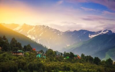 Chindi – Where Apples Ripen Beneath Deodar Silence