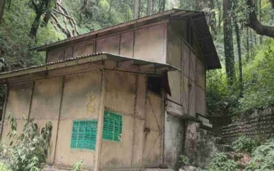 Chudail Baudi, Shimla – The Road Where Time Slows and Spirits Hitchhike