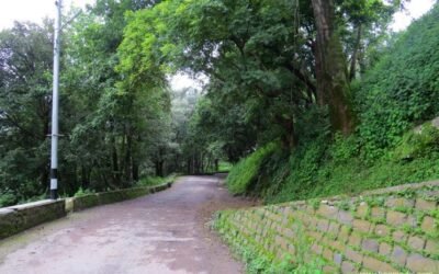 Dagshai Heritage Walk – Echoes of Empire in the Pines