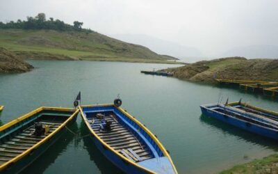 Gobind Sagar Lake – Where Water Meets Wings and Wonder