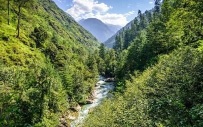 Great Himalayan National Park – Into the Wild Heart of Himachal