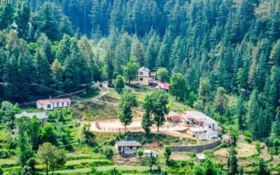 Habban Valley – Where Forests Guard Faith and Forgotten Kings