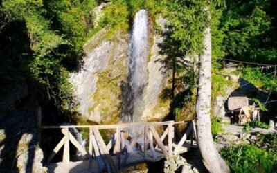 Jana Waterfall – A Forest Whisper Beneath Apple Skies