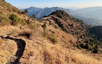 Karol Tibba Trek – A Steep Climb to Solan’s Sacred Crown