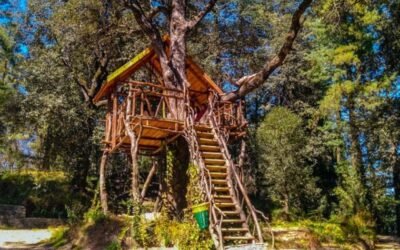 Mashobra–Craignano – Where Cedars Guard Colonial Whispers