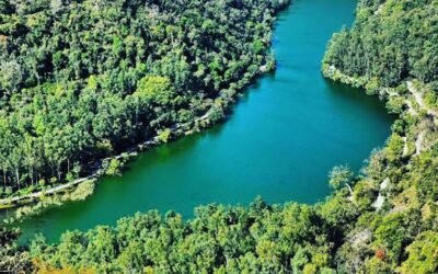 Renuka Lake Nature Walk – A Sacred Circle Beneath the Pines