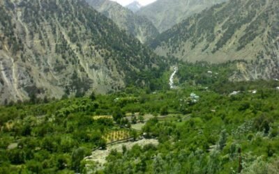 Ropa Valley – Where Tradition Sleeps Beneath Cedar and Cloud