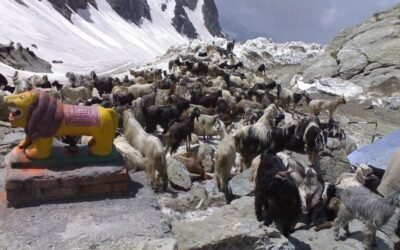 Sach Pass – The Wild Gateway to Pangi Valley