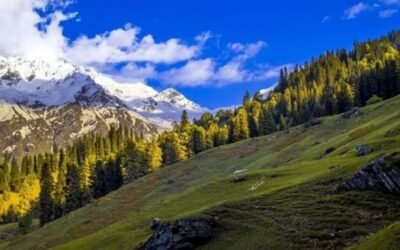 Sar Pass Trek – A Himalayan Canvas from Kasol to Biskeri