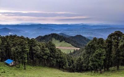 Shikari Devi Trek – Through Deodar Shadows to the Goddess of the Hunt