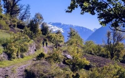 Simbalbara Wildlife Sanctuary – A Forest Symphony in the Shivaliks