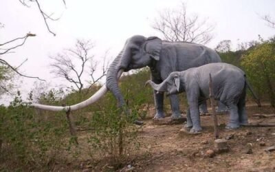 Suketi Fossil Park Trail – Walking with Giants in the Shivaliks