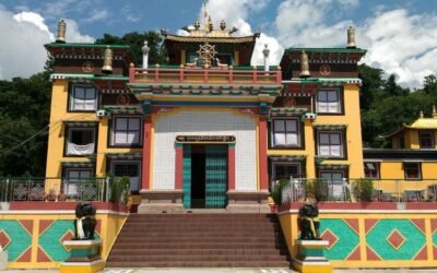 Tashi Jong Monastery – Where Silence Speaks in Color and Carving
