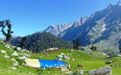 Triund Trek – A Balcony to the Dhauladhars