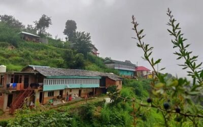 Cheog – Where Apples Blush and Time Slows