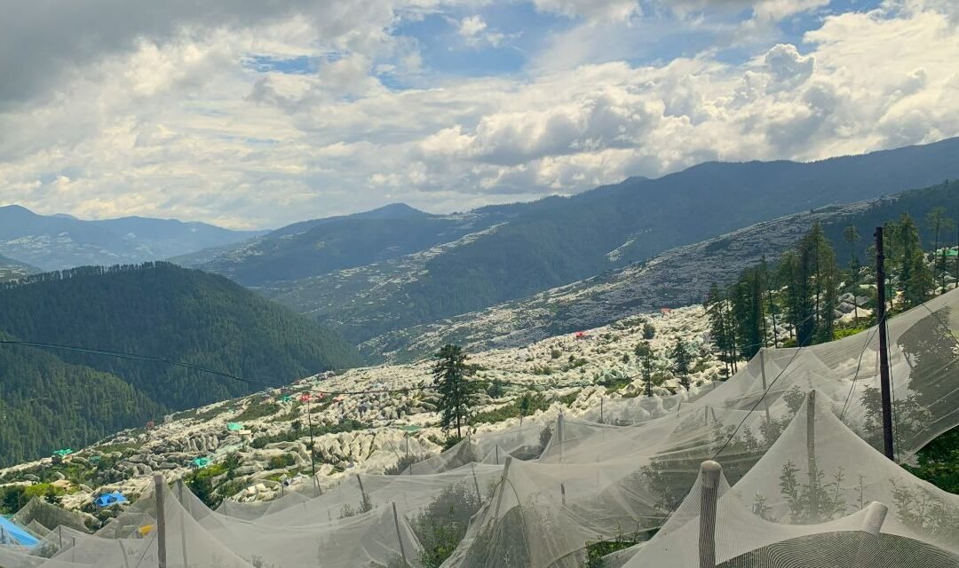 Himachal Heritage & Ridge Circuit Solan to Sarahan via Hatu