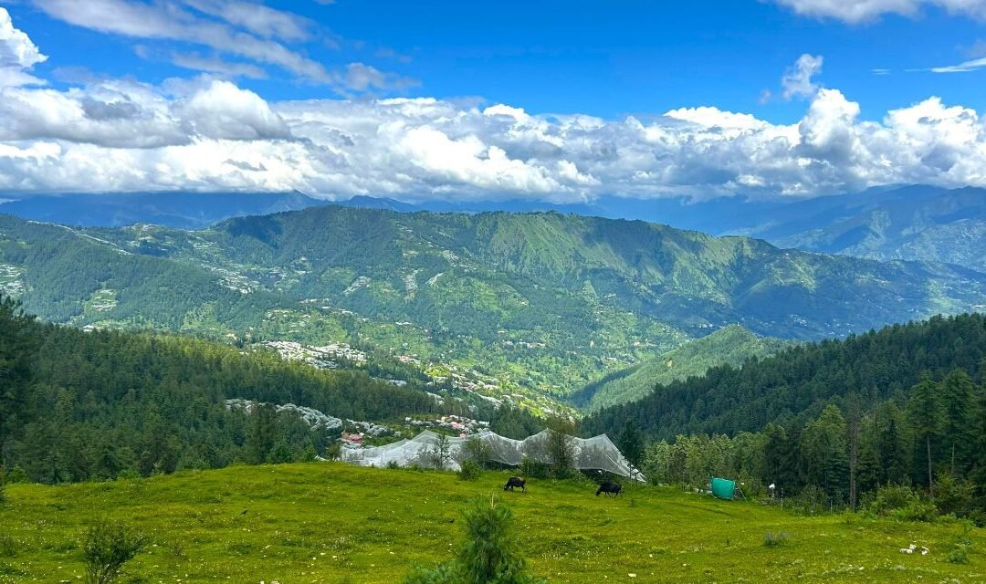 Ridge & Orchard Loop Solan to Hatu via Deorighat