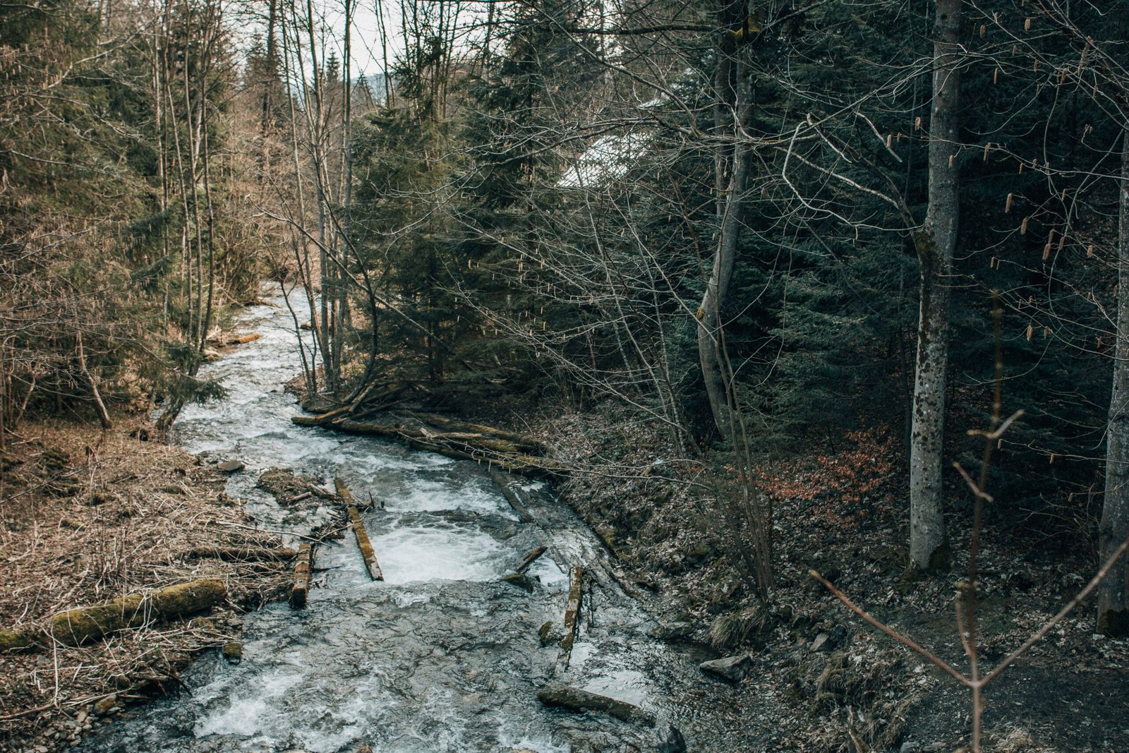 The River That Sounds Different Every Month: A Year of Listening in Himachal