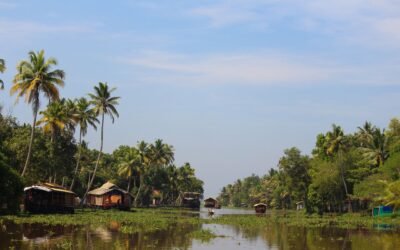 Alleppey Backwaters Kerala Guide 2026: Houseboat Tips