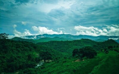 Araku Valley Travel Guide 2026: Andhra’s Hidden Gem