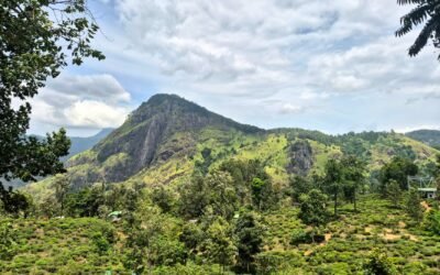 Ella Sri Lanka Travel Guide 2026: Hill Country Escape