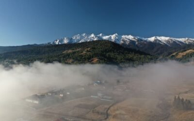 Ziro Valley Travel Guide 2026: Arunachal’s Hidden Gem