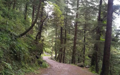 Lahesh Cave Trek – Dhauladhar Trail beyond Triund