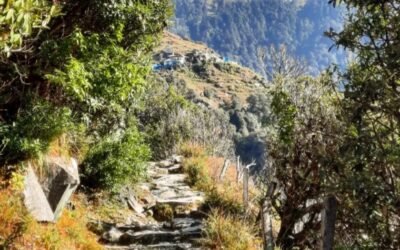 Thamsar Pass Trek – Kangra to Bara Bhangal Route