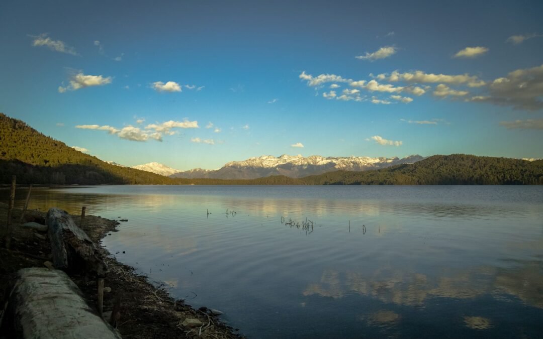 Tranquil view of Rara Lake surrounded by lush forest and snowy peaks under a clear blue sky.