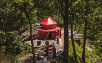 Binsar Wildlife Sanctuary Guide 2026: Uttarakhand Gem