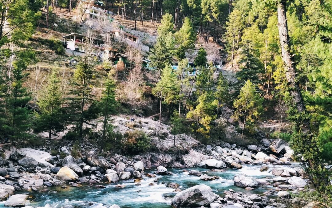 A vibrant river flowing through the forested hills of Kasol, India, showcasing nature's beauty.