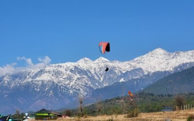 Bir Billing Himachal Pradesh Travel Guide 2026