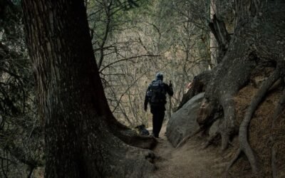 Rajgundha Valley Trek – Bir Billing to Barot Side Trail